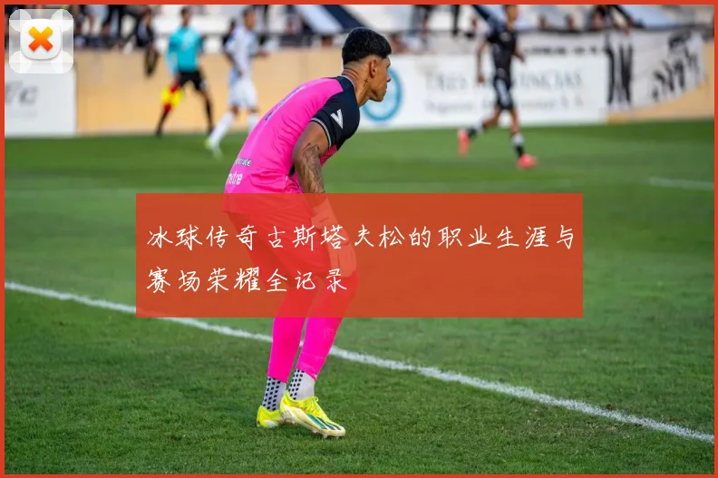 冰球传奇古斯塔夫松的职业生涯与赛场荣耀全记录