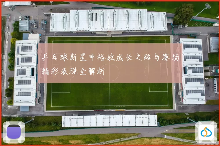 乒乓球新星申裕斌成长之路与赛场精彩表现全解析