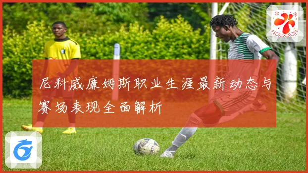 尼科威廉姆斯职业生涯最新动态与赛场表现全面解析