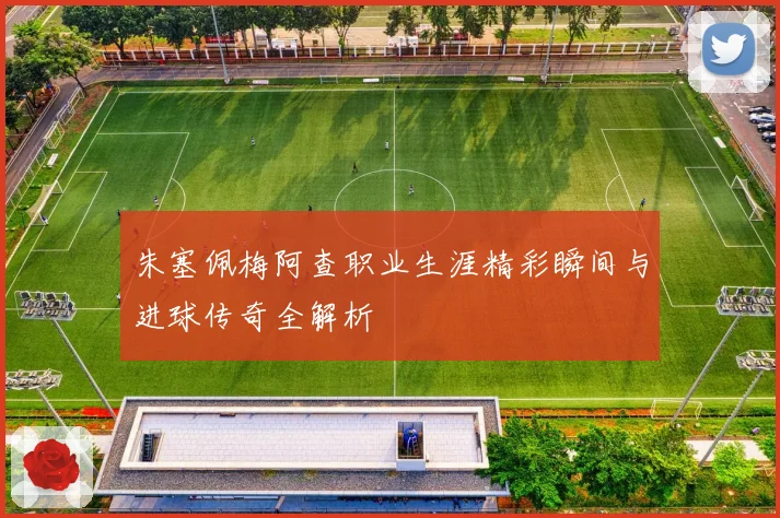 朱塞佩梅阿查职业生涯精彩瞬间与进球传奇全解析