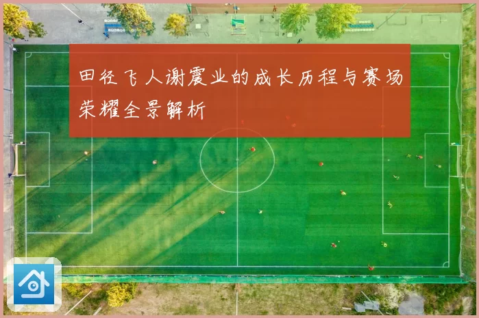 田径飞人谢震业的成长历程与赛场荣耀全景解析