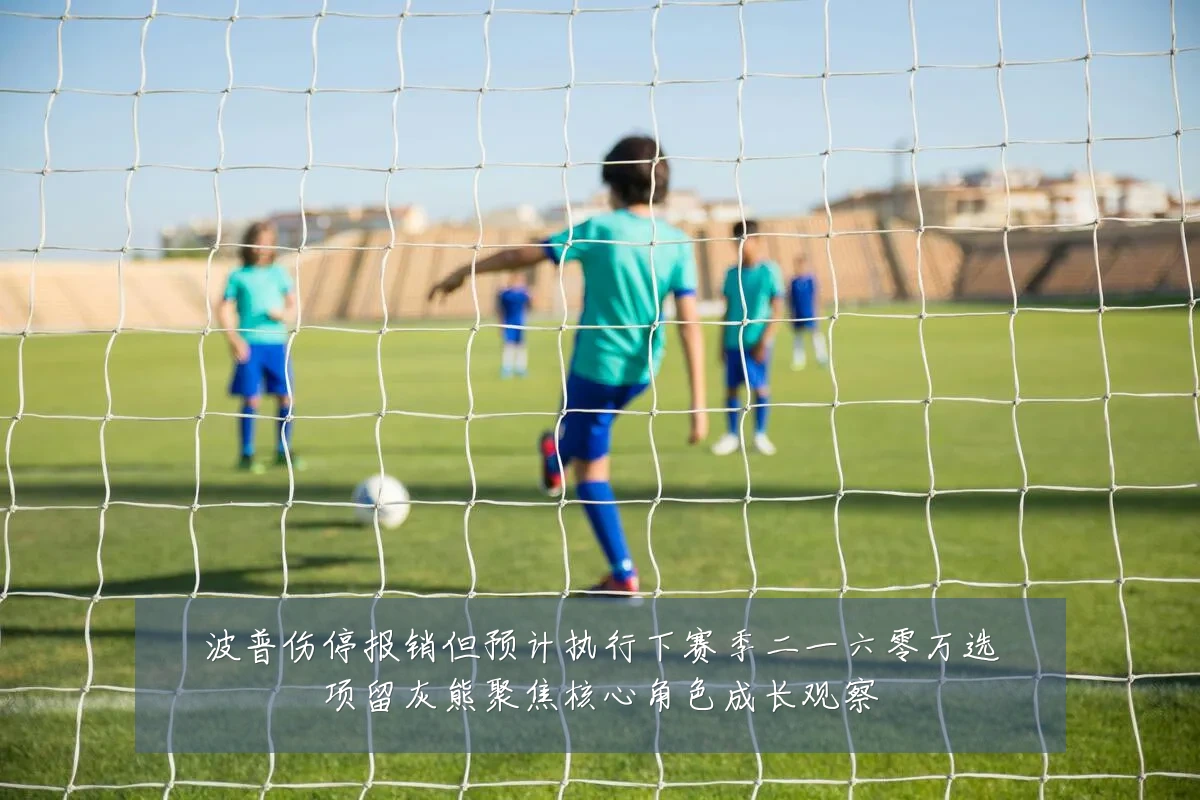 波普伤停报销但预计执行下赛季二一六零万选项留灰熊聚焦核心角色成长观察